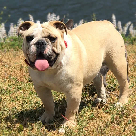 Meet your Posher, Vanessa - Picture 1 of 1